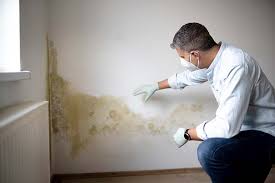 Best Residential Mold Inspection & Testing  in Hamtramck, MI